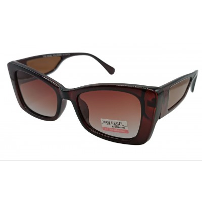 Van Regel Polarized VR 236 коричневые