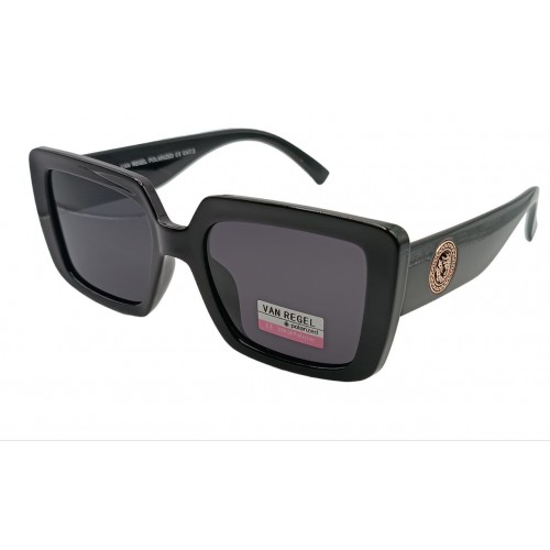 Van Regel Polarized VR221 черные