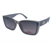 Van Regel Polarized p3530 c6 серые Van Regel Polarized p3530 c6 серые