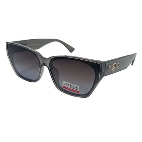 Van Regel Polarized p3552 серые