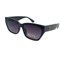 Van Regel Polarized p3552 черно-серые