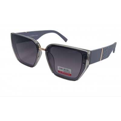 Van Regel Polarized p3529 серые