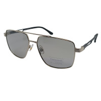 Polarized Хамелеон Х009 с3 (светлая сталь) Polarized Хамелеон Х009 с3 (светлая сталь)