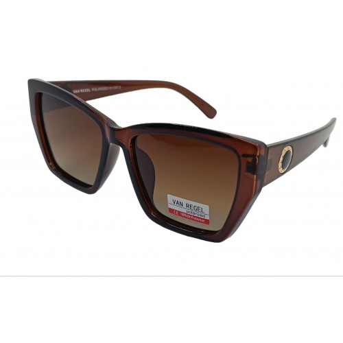 Van Regel Polarized p3538 c3 коричневые