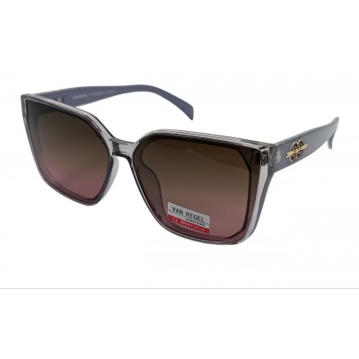 Van Regel Polarized p3516 с5 серые