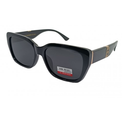 Van Regel Polarized p3565 с1 черно/черные