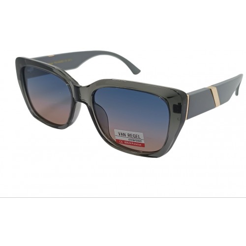 Van Regel Polarized р3559 с4 серые