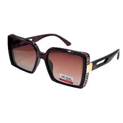 Van Regel Polarized P3525 c3 коричневые