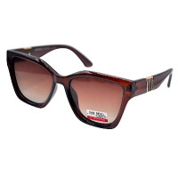 Van Regel Polarized P3536 c3 коричневые