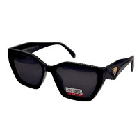 Van Regel Polarized Р3505 с1 черно-черные Van Regel Polarized Р3505 с1 черно-черные
