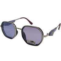 Polarized Хамелеон Pr XP7012 c4