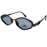 Polarized Хамелеон Cel XP032 с6 сталь-черные