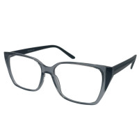 Очки с диоптрией RL8109 c1
