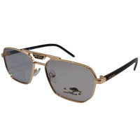Polarized Хамелеон Pr XP251 c6