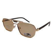 Polarized Хамелеон Pr XP251 c2