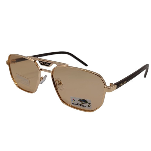 Polarized Хамелеон Pr XP251 c2