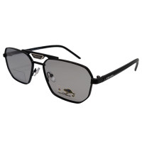 Polarized Хамелеон Pr XP251 c1