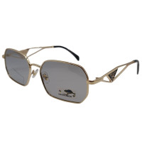 Polarized Хамелеон Pr XP253 c6