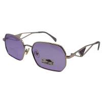 Polarized Хамелеон Pr XP253 c4 Polarized Хамелеон Pr XP253 c4