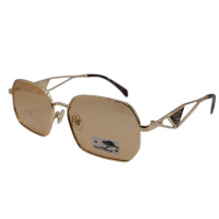 Polarized Хамелеон Pr XP253 c2