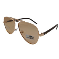 Polarized Хамелеон Pr XP252 c2