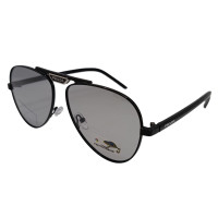 Polarized Хамелеон Pr XP252 c1